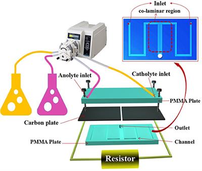 Fast Start-Up Microfluidic Microbial Fuel Cells With Serpentine Microchannel